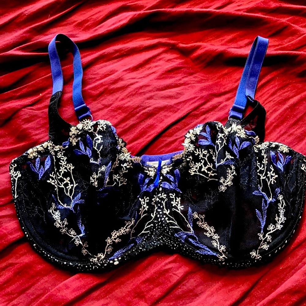 Beautiful Embroidered Lace Bra